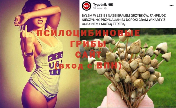 бошки Алексеевка
