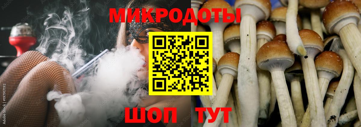 Галлюциногенные грибы Magic Shrooms  Вход с VPN  Находка 